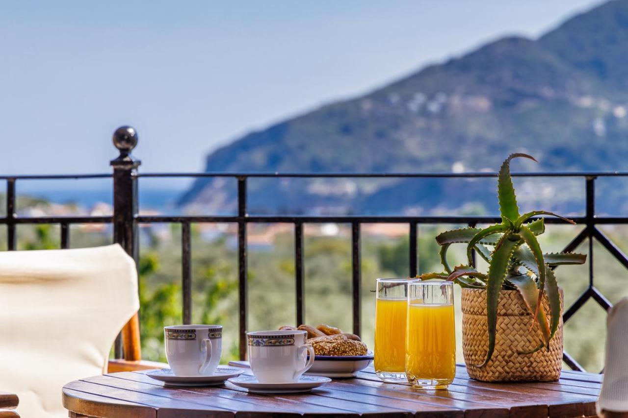 Villa Eleonora'S Città di Skopelos Esterno foto