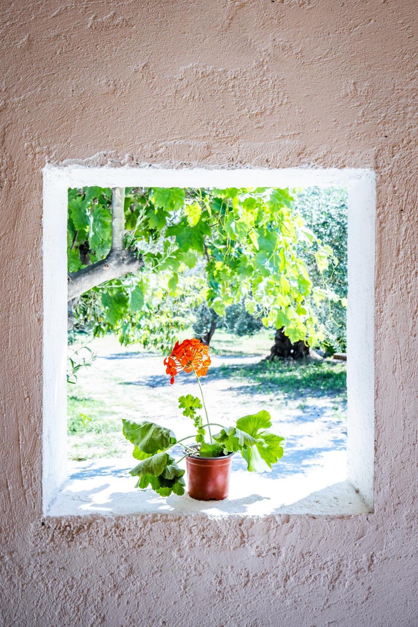 Villa Eleonora'S Città di Skopelos Esterno foto